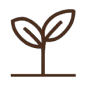 Seed icon